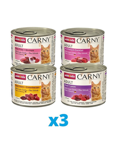 ANIMONDA Carny Set de 4 saveurs différentes 12 x 200 g