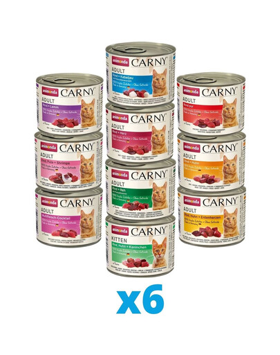 ANIMONDA Carny mix 10 saveurs différentes 60 x 200 g