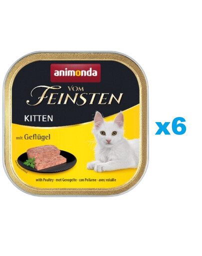 ANIMONDA Vom Feinsten Kitten Set avec volaille 6 x 100 g