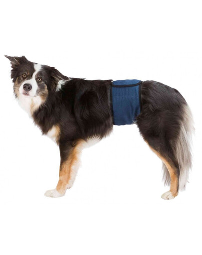 TRIXIE Ceinture ventrale pour chiens S : 29-37 cm