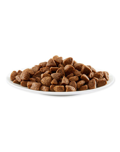APPLAWS Dog Adult Small and Medium Breed Chicken with Lamb - Poulet et agneau pour chiens de petites et moyennes races - 7.5 kg