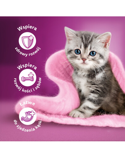 WHISKAS Junior - Nourriture en gelée de volaille avec : poulet, dinde, volaille, canard pour chaton - 48x85g