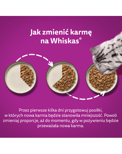 WHISKAS Junior - Nourriture en gelée de volaille avec : poulet, dinde, volaille, canard pour chaton - 48x85g
