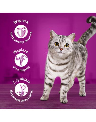WHISKAS Junior - pour chatons nourriture humide avec du poulet en gelée - sachet 28x85g