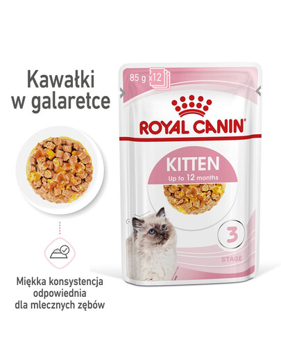 ROYAL CANIN Instinctive Kitten - Nourriture humide pour chatons jusqu'à 12 mois - 24x85 g