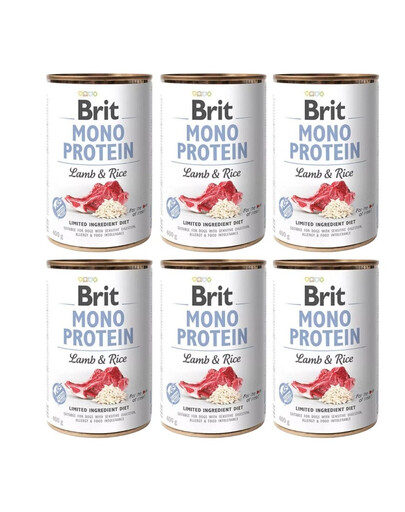 BRIT Mono Protein Lamb & Rice - nourriture monoprotéinée agneau et riz - 6x400 g