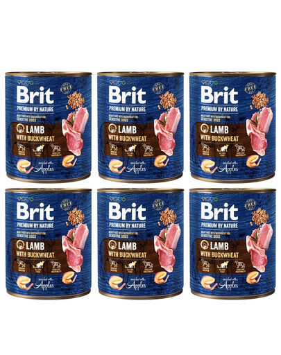 BRIT Premium by Nature - nourriture naturelle pour chiens à base d'agneau et de sarrasin - 6x800 g