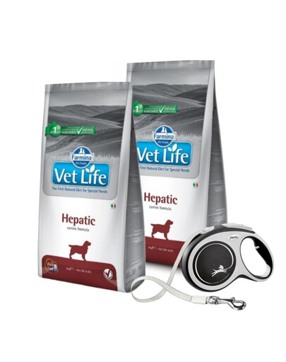 FARMINA Vet Life Dog Hepatic - nourriture pour chiens souffrant d'une maladie du foie - 12 kg + FLEXI Laisse New Comfort L 8 m OFFERTE