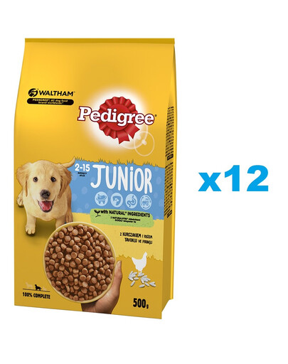 PEDIGREE Junior Croquettes au poulet pour jeunes chiens de races moyennes 12x500g