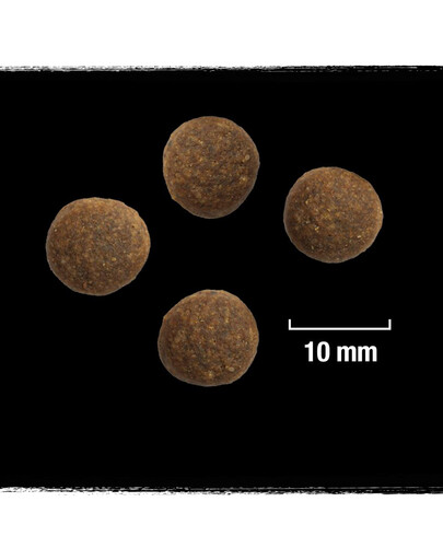 CRAVE Croquettes 7kg avec dinde et poulet (sans céréales pour chien adulte)