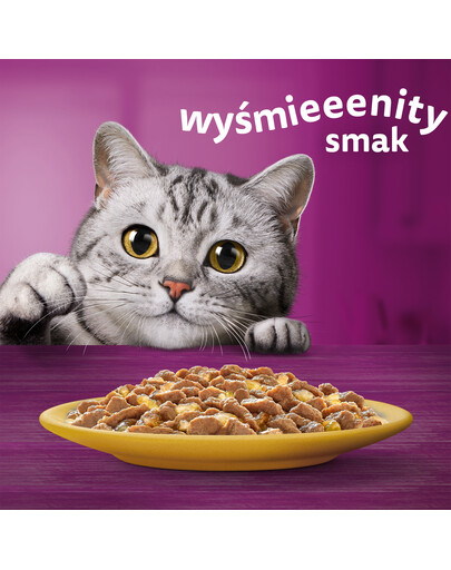 WHISKAS Adult - nourriture humide de poulet en gelée pour chats adultes - sachet de 28x85g