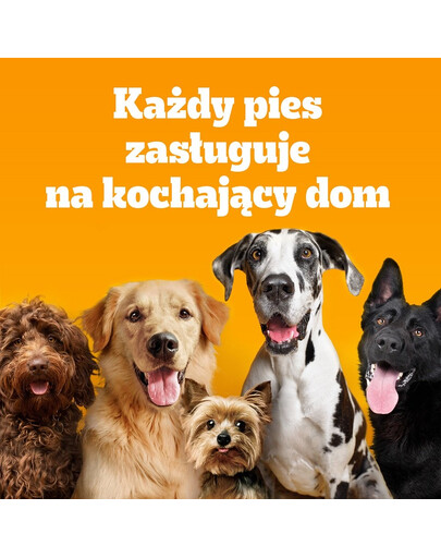 PEDIGREE Adult MINI 12x500 g au poulet et légumes nourriture sèche complète pour chiens adultes de petites races