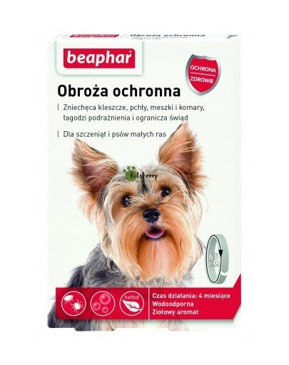 BEAPHAR Collier de protection S - pour petits chiens