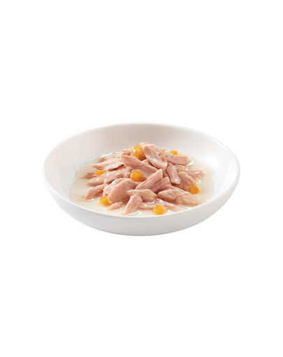 SCHESIR Thon et potiron en bouillon 70 g