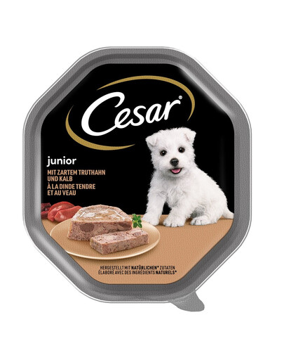 CESAR Junior tacka 150 g pâté à la dinde et au veau pour chiots
