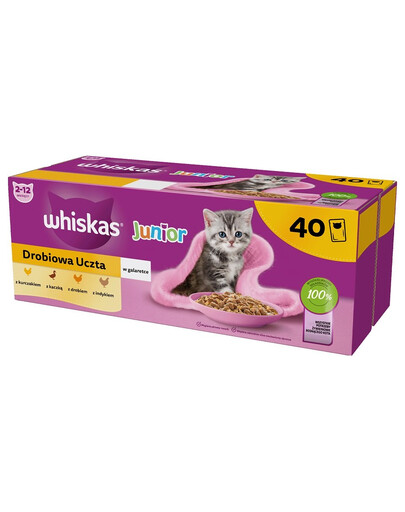 WHISKAS Junior Drobiowa Uczta 40x85g nourriture humide avec du poulet, du canard, de la volaille et de la dinde en gelée pour chatons