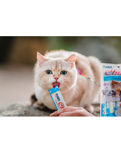 INABA Churu Cat - friandise crémeuse au thon et à la crème pour chats - 56 g