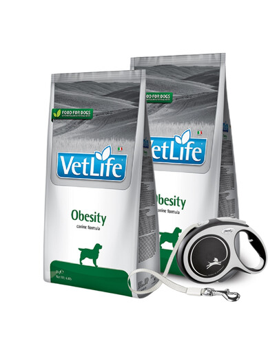 FARMINA VetLife Obesity Fish - nourriture diététique au poisson pour chiens adultes diabétiques - 2x12 kg + FLEXI Laisse New Comfort L 8 m OFFERTE
