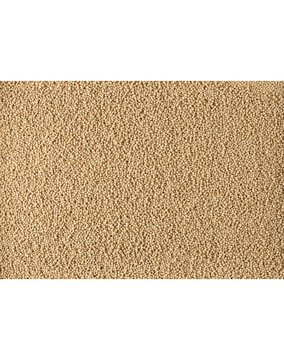 TETRA Pond Sticks Mini - nourriture de base pour les petits poissons d'étang - 1 L