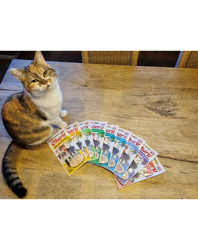 INABA Churu Cat friandise crémeuse au poulet et au crabe pour chats 56 g