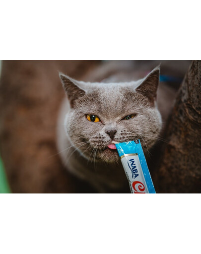 INABA Churu Cat - Friandise crémeuse au thon et noix de Saint-Jacques pour chat - 56 g