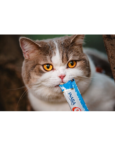 INABA Churu Cat friandise crémeuse au poulet et au crabe pour chats 56 g
