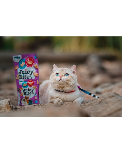 INABA Juicy Bites - friandises humides aux crevettes et fruits de mer pour chats - 33.9 g (3x11.3 g)