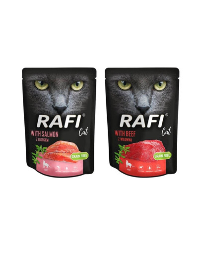 DOLINA NOTECI Rafi - Nourriture humide pour chats avec saumon 10x300 g + Nourriture humide pour chats avec bœuf 10x300 g