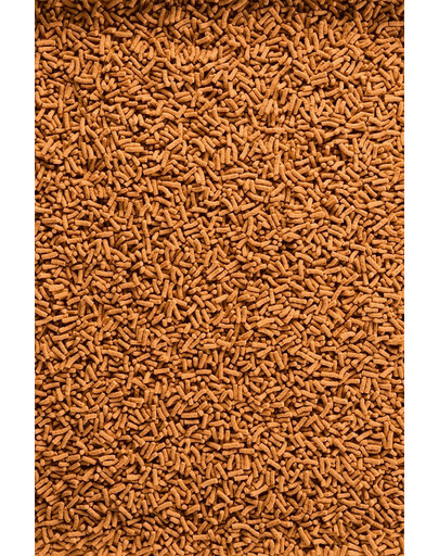 TETRA Pond Colour Sticks – Granulés pour améliorer la couleur des poissons de bassin - 10 L