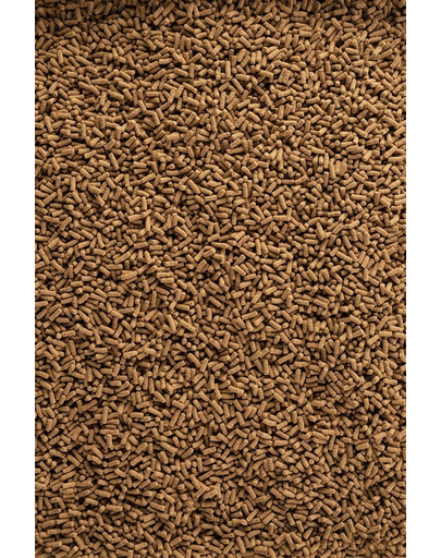 TETRA Pond Wheatgerm Sticks - nourriture principale flottante lorsque les températures de l'eau sont fraîches - 1 L