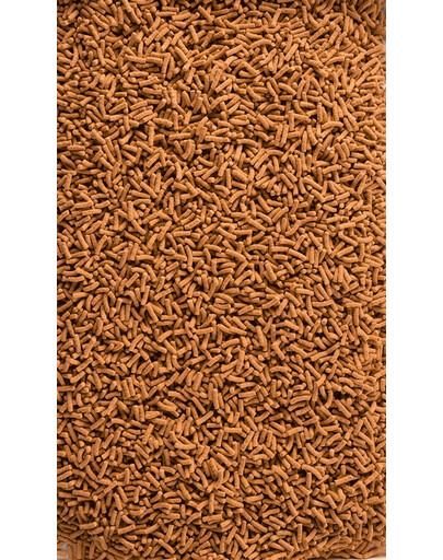 TETRA Pond KOI Sticks - Nourriture pour renforcer les couleurs des carpes koi - 4 L