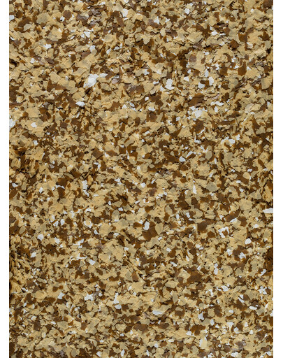 TETRA Pond Flakes - mélange pour petits poissons d'étang - 1 L
