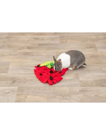 TRIXIE Tapis olfactif pour cavies et lapins, fraise, rouge 33 × 40 cm