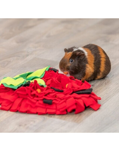TRIXIE Tapis olfactif pour cavies et lapins, fraise, rouge 33 × 40 cm