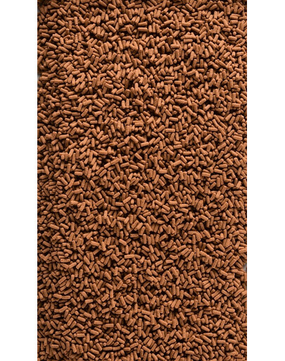 TETRA Pond KOI Colour&Growth Sticks - Sticks pour carpe koi plus grande ou pour l'hivernage - 4 L