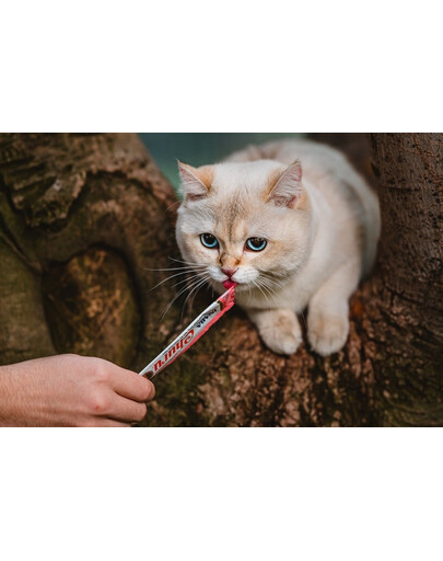INABA Churu Cat - Friandise crémeuse au thon et au saumon pour chats - 56 g