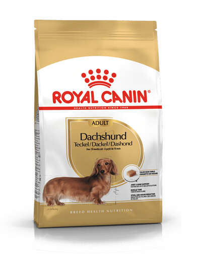 ROYAL CANIN Dachshund adult 0.5 kg nourriture sèche pour chiens teckels adultes