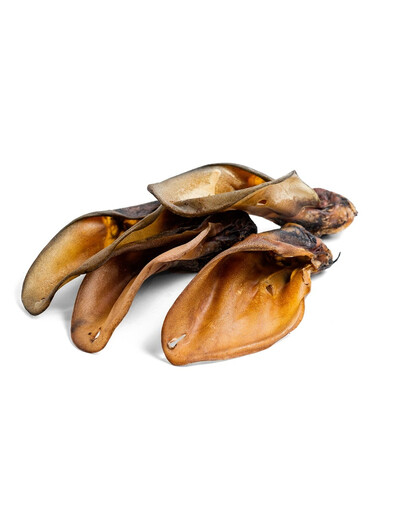 PETMEX Oreille de bœuf 1 pièce mâche naturelle pour chien