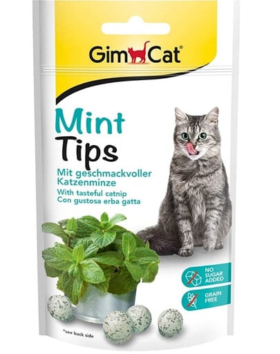 GIMCAT Tasty Tabs MintTips 40 g Friandises à base d'herbe à chat pour les chats