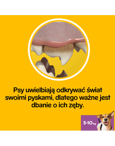 PEDIGREE DentaStix Daily Oral Care - traitement dentaire pour petits chiens - 56 pièces - 8 x 110 g