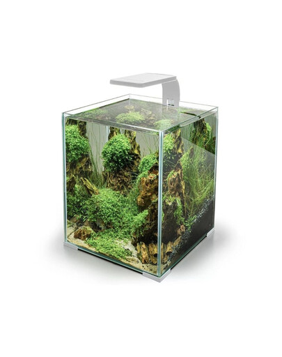 AQUAEL Leddy Smart 4,8W Sunny Day&Night lumière led blanche pour petits aquariums