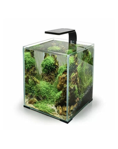 AQUAEL Leddy Smart 4,8W Sunny Day&Night lumière noire pour petits aquariums