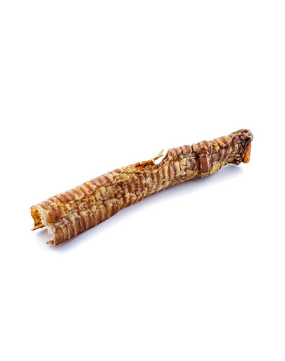 MACED Trachée de bœuf 25 cm