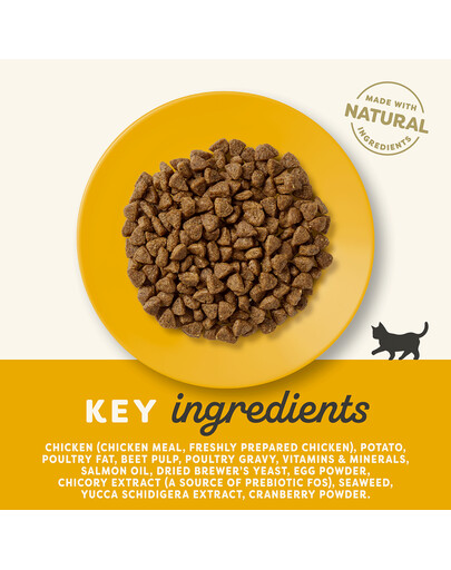 APPLAWS Cat Dry Kitten - Poulet sans céréales pour chatons - 2 kg