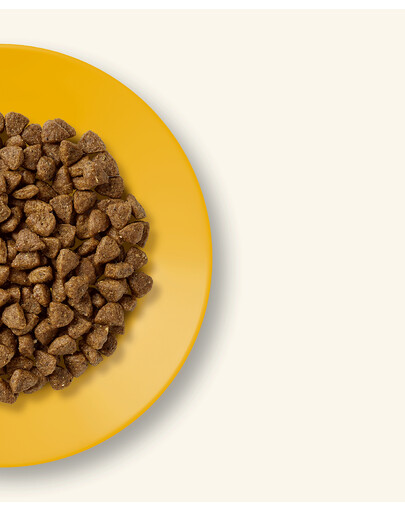 APPLAWS Cat Dry Kitten - Poulet sans céréales pour chatons - 2 kg
