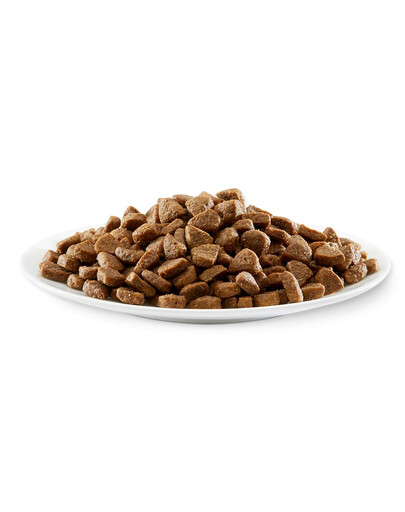 APPLAWS Cat Dry Kitten - Poulet sans céréales pour chatons - 2 kg