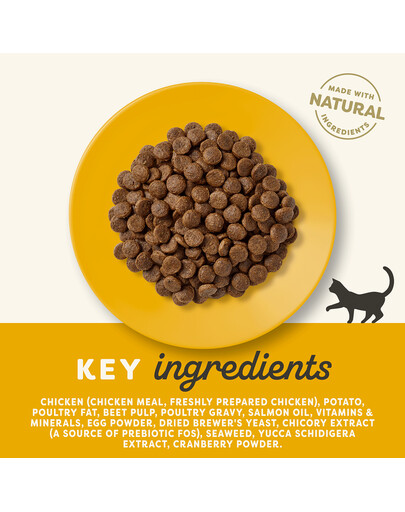 APPLAWS Cat Adult Chicken - Poulet sans céréales pour chats adultes - 400g