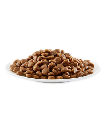 APPLAWS Cat Dry Adult - Poulet et saumon - 2 kg