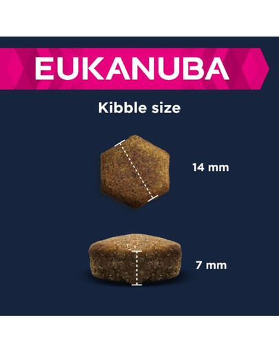 EUKANUBA Senior All Breeds Lamb & Rice Riche en agneau et en riz avec une pointe de curcuma 12 kg
