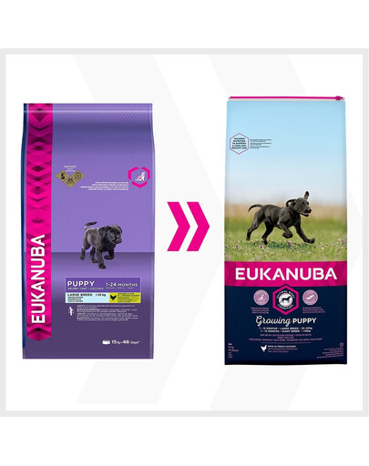 EUKANUBA Puppy Large Breeds Chicken - pour chiots de grandes races avec du poulet frais - 15 kg